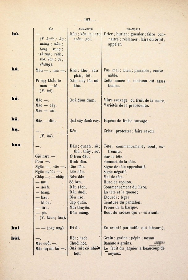 Dictionnaire Tay-Annamite-Français, F.M. Savina / Dictionnaire Tay-Annamite-Français, F.M. Savina / F.M. Savina / Viet Nam