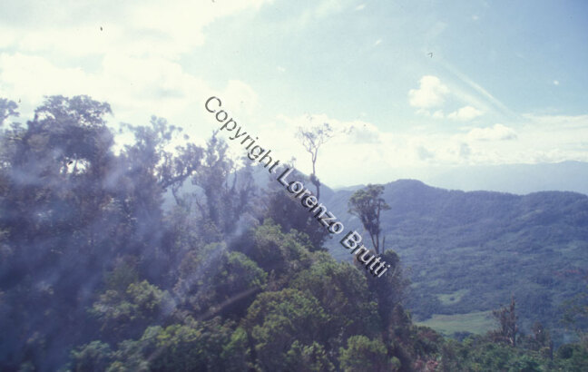 Oksapmin Topography / Oksapmin Topography / Lorenzo Brutti / Papua New Guinea