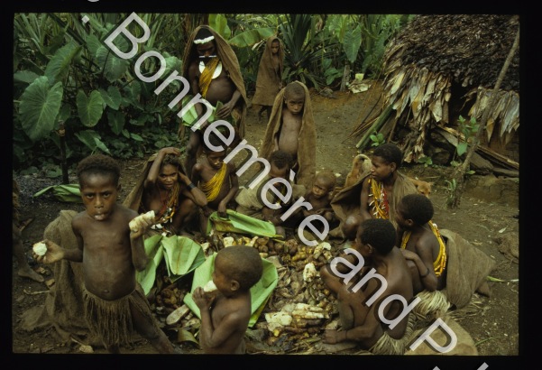 Aamen distribution / Aamen distribution / Pascale Bonnemère et Pierre Lemonnier / Papouasie Nouvelle-Guinée