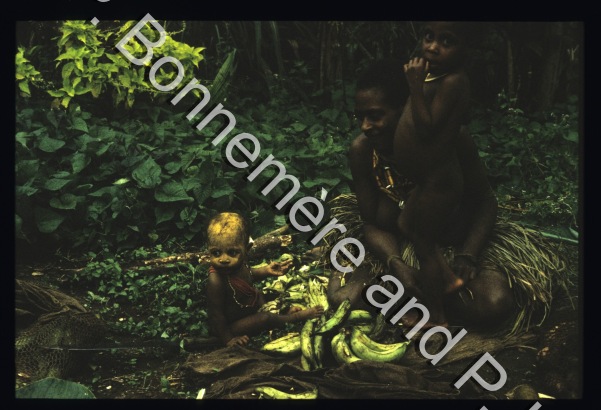 Alimentation / Bananes plantain / Bonnemère, Pascale; Lemonnier, Pierre /  Papua New Guinea/ Papouasie-Nouvelle-Guinée