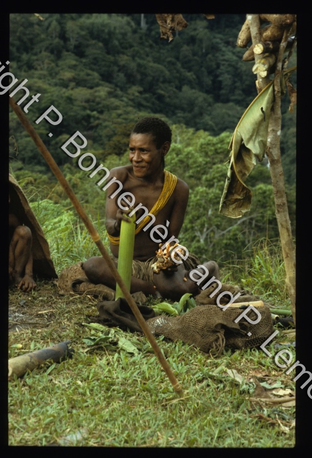 Alimentation / Alimentation / Bonnemère, Pascale; Lemonnier, Pierre /  Papua New Guinea/ Papouasie-Nouvelle-Guinée
