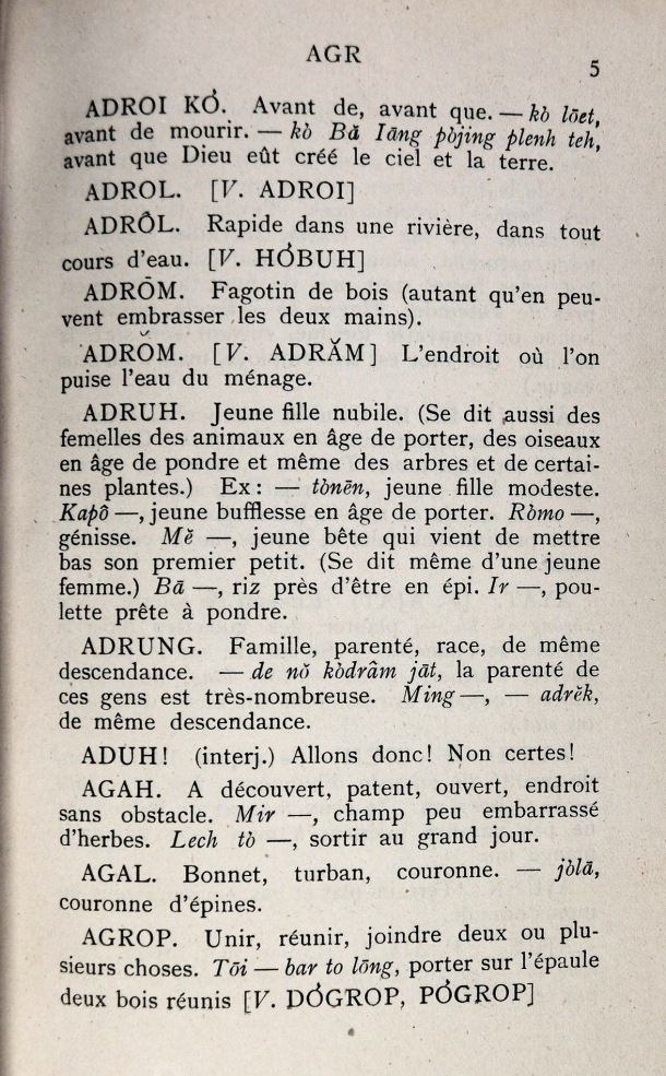 Dictionnaire Bahnar-Français, P.X. Dourisboure / lettre A: lettre AGR / Dourisboure, P.X. /  Viet Nam/ Viet Nam