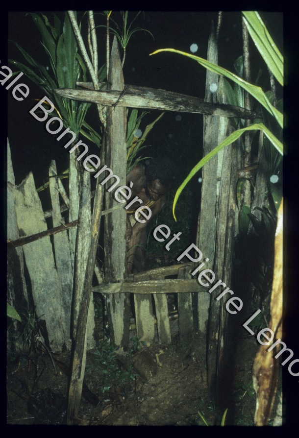 Enclos domestiques / Enclos domestiques / Pierre Lemonnier & Pascale Bonnemère / Papuasie Nouvelle-Guinée