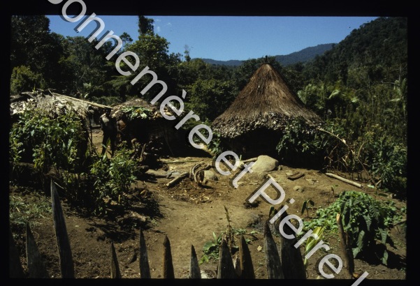 Enclos domestiques / Enclos domestiques / Pierre Lemonnier & Pascale Bonnemère / Papuasie Nouvelle-Guinée