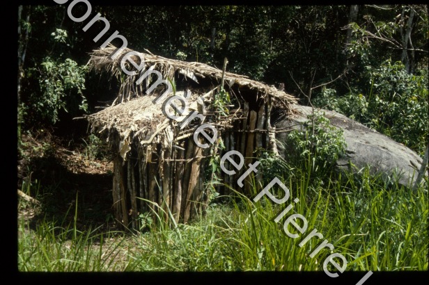 Habitat / Habitat / Bonnemère, Pascale; Lemonnier, Pierre /  Papua New Guinea/ Papouasie-Nouvelle-Guinée