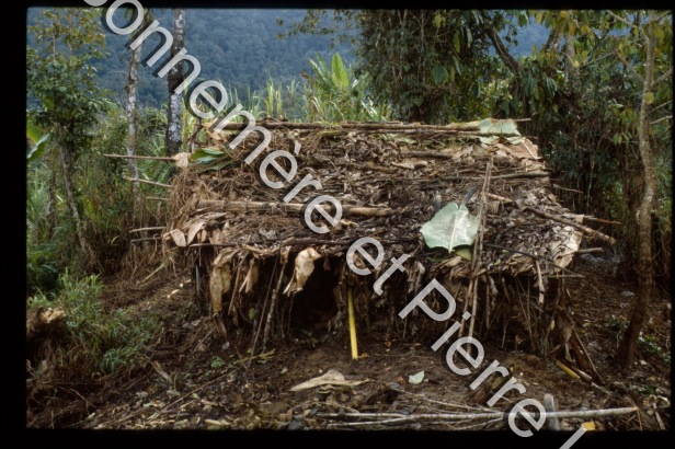Habitat / Habitat / Bonnemère, Pascale; Lemonnier, Pierre /  Papua New Guinea/ Papouasie-Nouvelle-Guinée