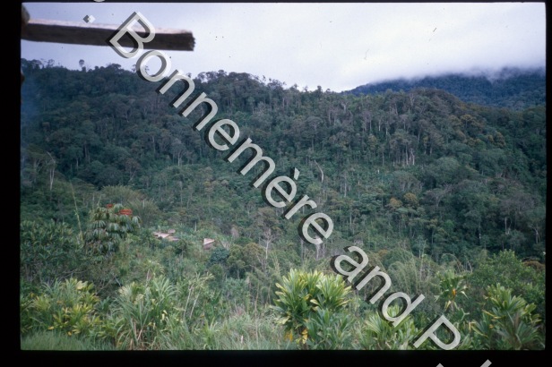 Jardins / Jardins / Pierre Lemonnier & Pascale Bonnemère / Papuasie Nouvelle-Guinée