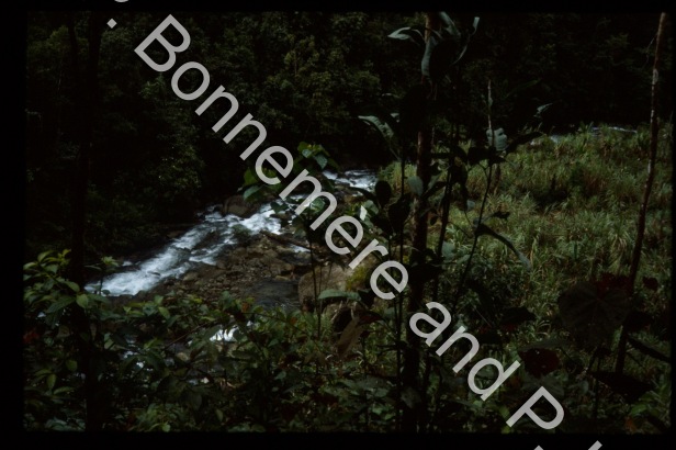 Jardins / Jardins / Pierre Lemonnier & Pascale Bonnemère / Papuasie Nouvelle-Guinée