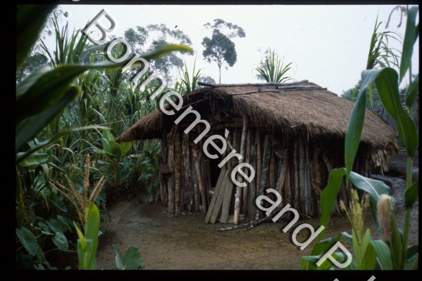 Maisons / Maisons / Bonnemère, Pascale; Lemonnier, Pierre /  Papua New Guinea/ Papouasie-Nouvelle-Guinée