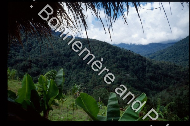 Paysages / Paysages / Pierre Lemonnier & Pascale Bonnemère / Papuasie Nouvelle-Guinée