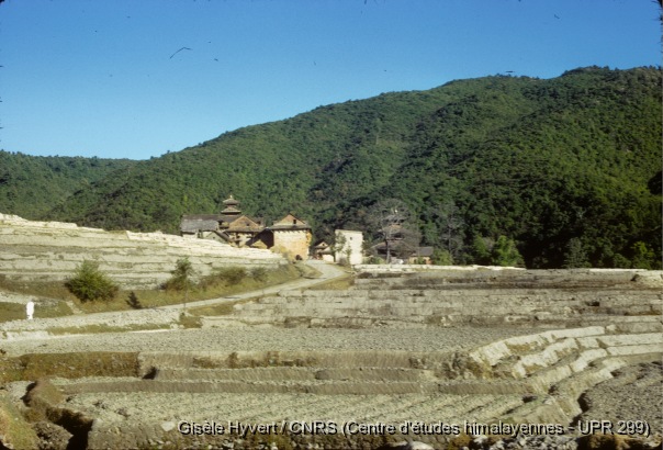 Vallée de Kathmandu c.1971 / Champs en terrasse et chemin menant au village de Chandeshwari.  / Hyvert, Gisèle  / Chandeshwari (Banepa, Kabhre district), Népal 
