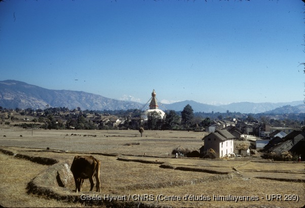 Vallée de Kathmandu c.1971 / Champs et stupa de Bodnath au fond.  / Hyvert, Gisèle  / Bodnath (Kathmandu district), Népal 