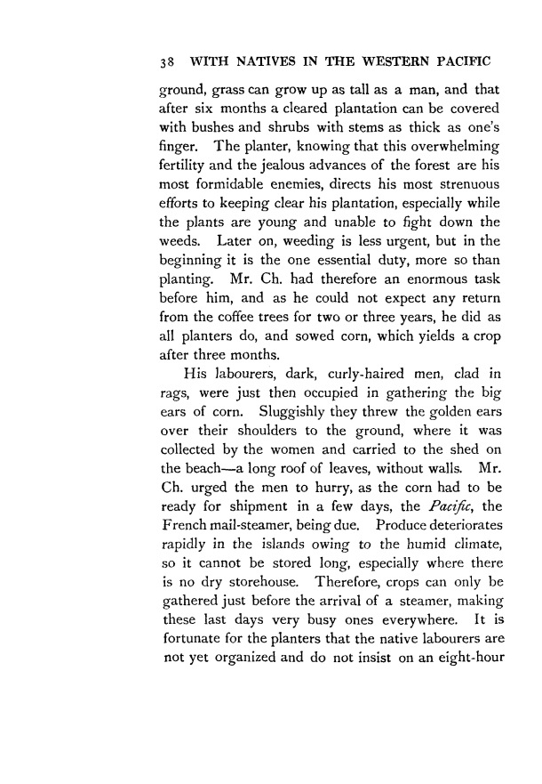 Speiser, Felix. 1913. Two years with the natives in the Western Pacific / Speiser, Felix. 1913. Two years with the natives in the Western Pacific / Felix Speiser / Vanuatu/ Vanuatu