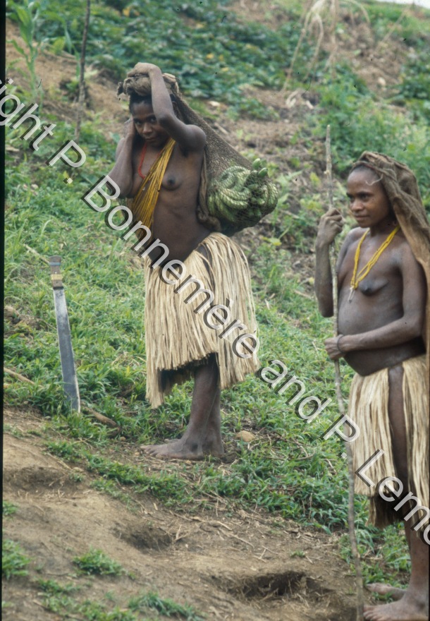 Portage / Portage / Pierre Lemonnier & Pascale Bonnemère / Papuasie Nouvelle-Guinée