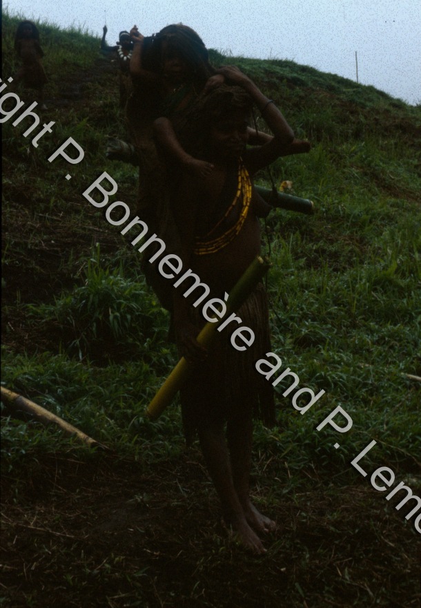 Portage / Portage / Pierre Lemonnier & Pascale Bonnemère / Papuasie Nouvelle-Guinée