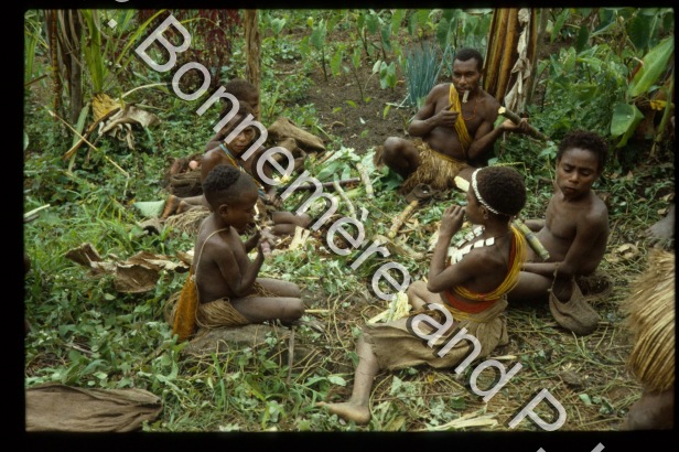 Préparation mumu du cochon / Préparation mumu du cochon / Bonnemère, Pascale; Lemonnier, Pierre /  Papua New Guinea/ Papouasie-Nouvelle-Guinée
