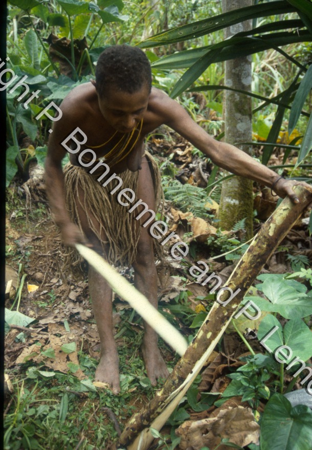 Technologie / Technologie / Pierre Lemonnier & Pascale Bonnemère / Papuasie Nouvelle-Guinée
