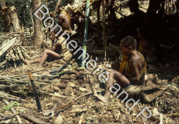 Vie quotidienne / Vie quotidienne / Pierre Lemonnier & Pascale Bonnemère / Papuasie Nouvelle-Guinée
