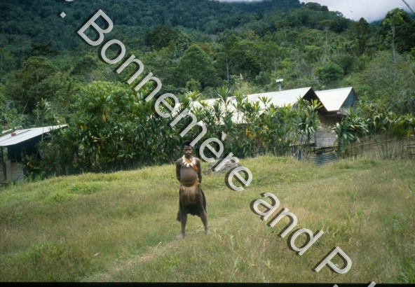 Village / Village / Pierre Lemonnier & Pascale Bonnemère / Papuasie Nouvelle-Guinée