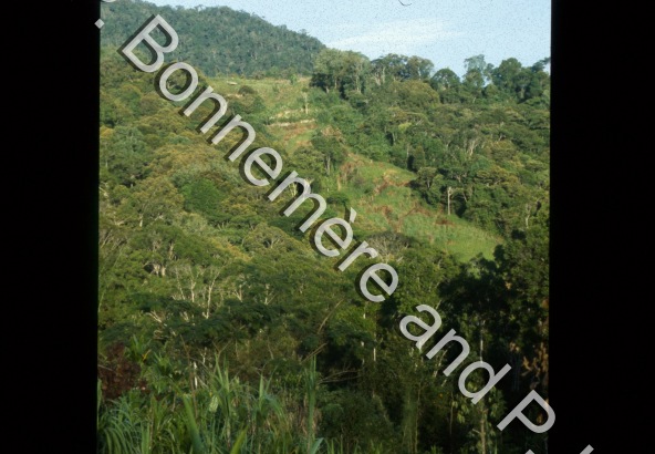 Village / Village / Pierre Lemonnier & Pascale Bonnemère / Papuasie Nouvelle-Guinée