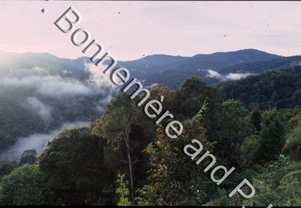 Paysages (1994) / Paysages (1994) / Pierre Lemonnier & Pascale Bonnemère / Papuasie Nouvelle-Guinée