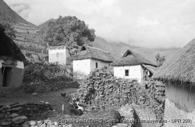 1969 : Népal (vallée de Kathmandu) / 1969 : Népal (vallée de Kathmandu) / Jest, Corneille /  Nepal/ Népal