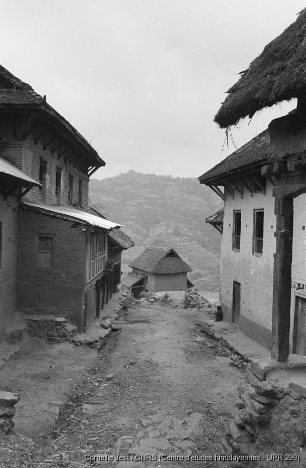 1986 : Népal (vallée de Kathmandu, Timal, Gulmi-Arghakhnachi), Inde / 1986 : Népal (vallée de Kathmandu, Timal, Gulmi-Arghakhnachi), Inde / Jest, Corneille /  Nepal/ Népal