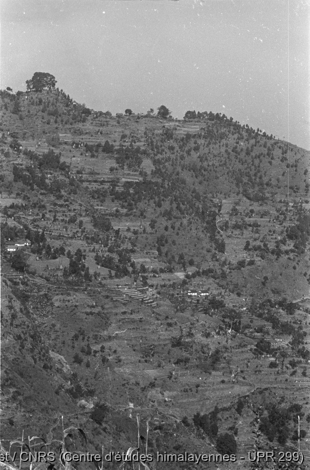 1991 : Népal (vallée de Kathmandu, Timal), Bhoutan / 1991 : Népal (vallée de Kathmandu, Timal), Bhoutan / Jest, Corneille /  Nepal/ Népal