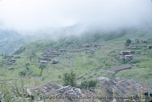 Album Tamang (1974-1985) / Vue de Sertung, pendant la mousson (juillet-août) : les champs en terrasses  / Toffin, Gérard  / Sertung (Dhading district), Népal 