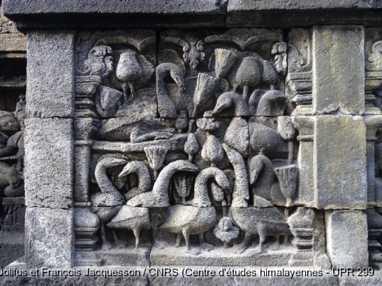 Borobudur > Galerie I > Balustrade supérieure : Histoire des oies / Borobudur > Galerie I > Balustrade supérieure : Histoire des oies / Dollfus, Pascale; Jacquesson, François /  Indonesia/ Indonésie