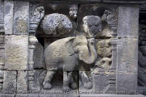 Borobudur > Galerie I > Balustrade supérieure : Histoire de l'éléphant / Borobudur > Galerie I > Balustrade supérieure : Histoire de l'éléphant / Dollfus, Pascale; Jacquesson, François /  Indonesia/ Indonésie