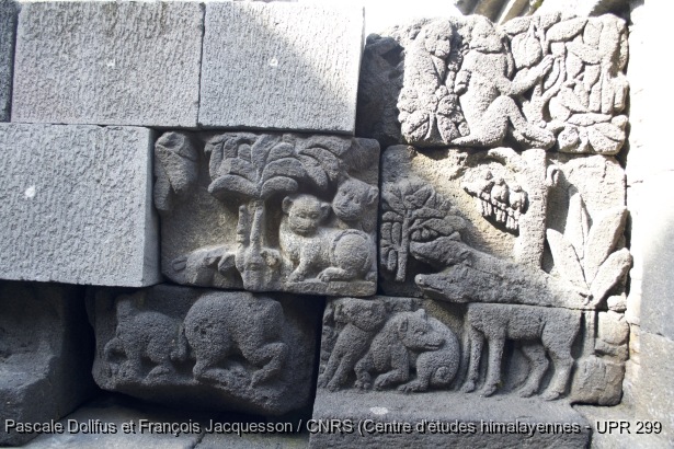 Borobudur > Galerie I > Balustrade supérieure : Histoire du buffle / Borobudur > Galerie I > Balustrade supérieure : Histoire du buffle / Dollfus, Pascale; Jacquesson, François /  Indonesia/ Indonésie