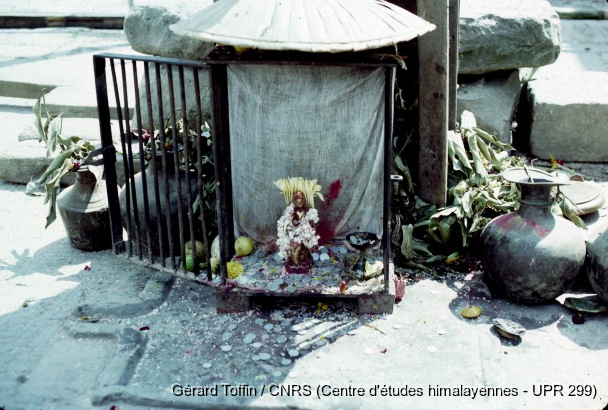 Album Indra Jatra (1974-2005) / Indra Jatra : installation de la statue d'Indra en bas du mât (1er jour) 
  / Toffin, Gérard  / Kathmandu (Kathmandu district), Népal 