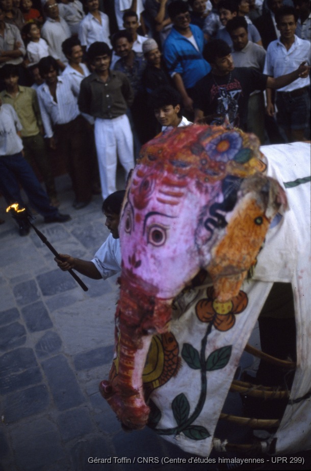 Album Indra Jatra (1974-2005) / Indra Jatra : Kishi, l'éléphant d'Indra (troupe de Kilagal) devant le char de la Kumari (2ème jour) 
  / Toffin, Gérard  / Kathmandu (Kathmandu district), Népal 