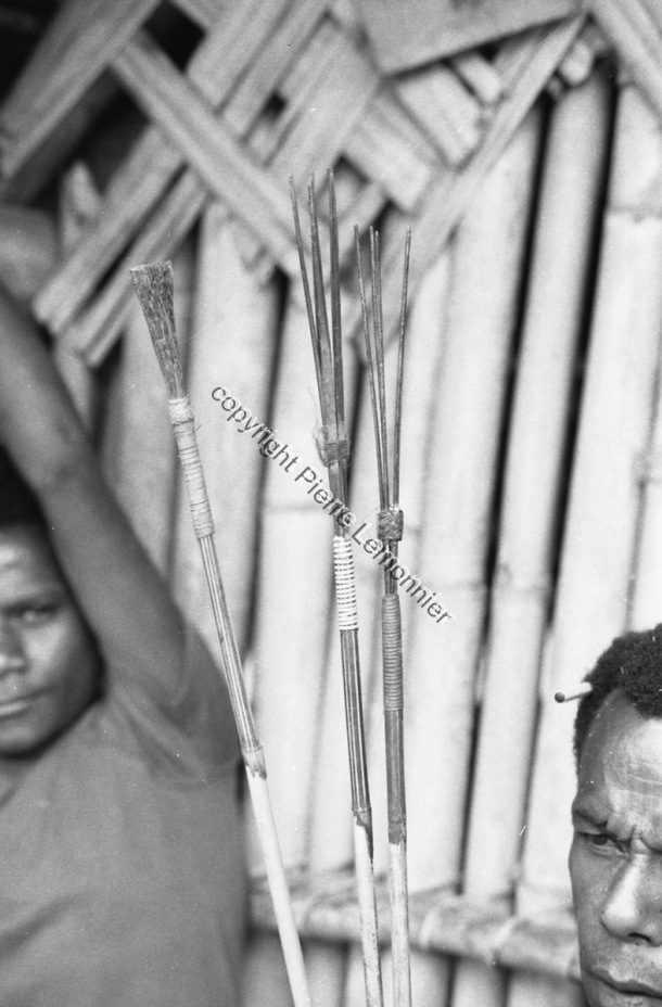 1980 - 81 / 1980 - 81 / Pierre Lemonnier / Papuasie Nouvelle-Guinée