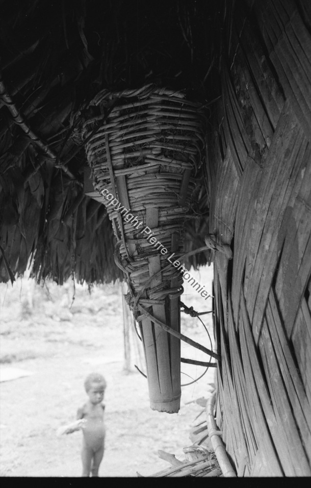 1980 - 81 / 1980 - 81 / Pierre Lemonnier / Papuasie Nouvelle-Guinée