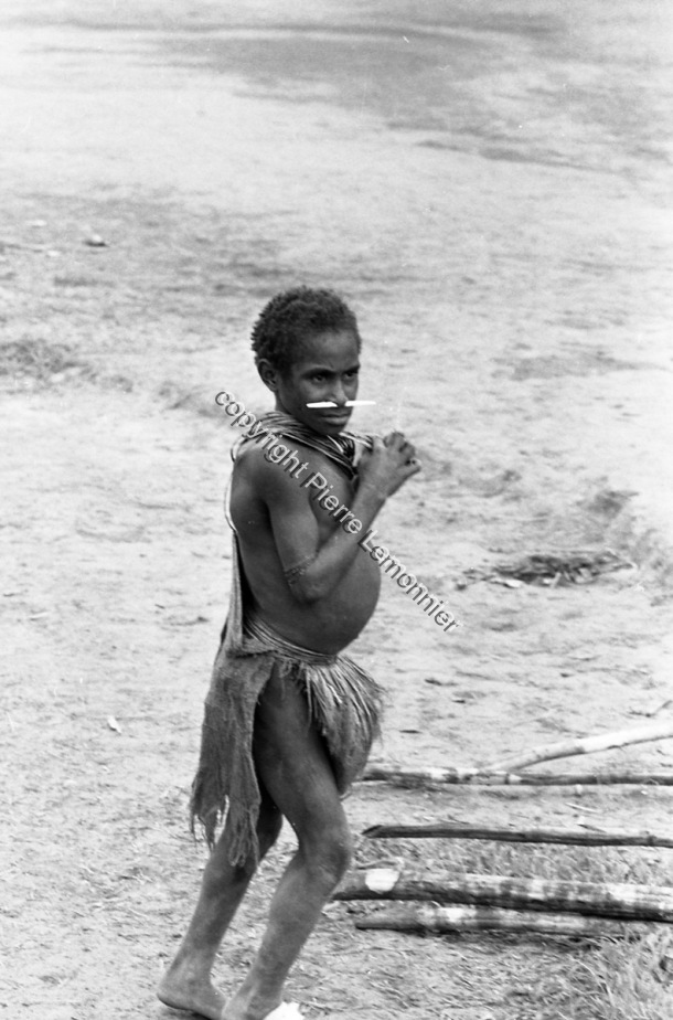 1982 / 1982 / Pierre Lemonnier / Papuasie Nouvelle-Guinée