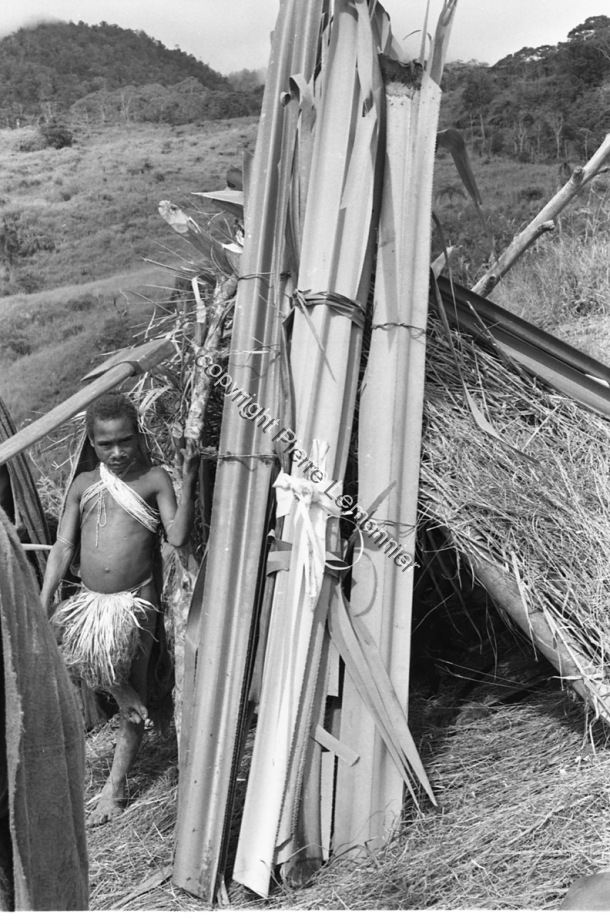 1985 / 1985 / Lemonnier, Pierre /  Papua New Guinea/ Papouasie-Nouvelle-Guinée