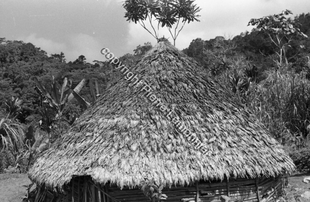 1985 Kunai / 1985 Kunai / Lemonnier, Pierre /  Papua New Guinea/ Papouasie-Nouvelle-Guinée