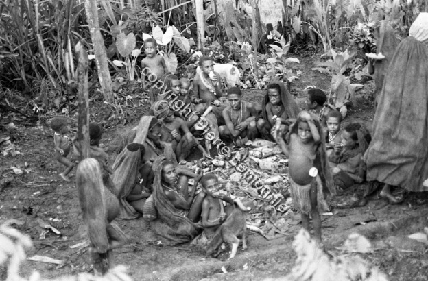 1987 / 1987 / Lemonnier, Pierre /  Papua New Guinea/ Papouasie-Nouvelle-Guinée