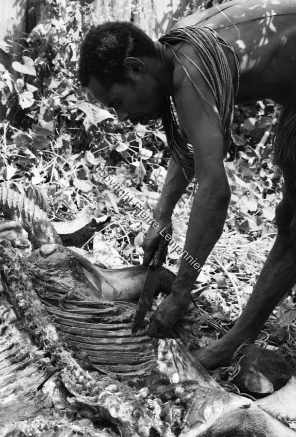 1987-88 Boucherie de Porcs / 1987-88 Boucherie de Porcs / Lemonnier, Pierre /  Papua New Guinea/ Papouasie-Nouvelle-Guinée