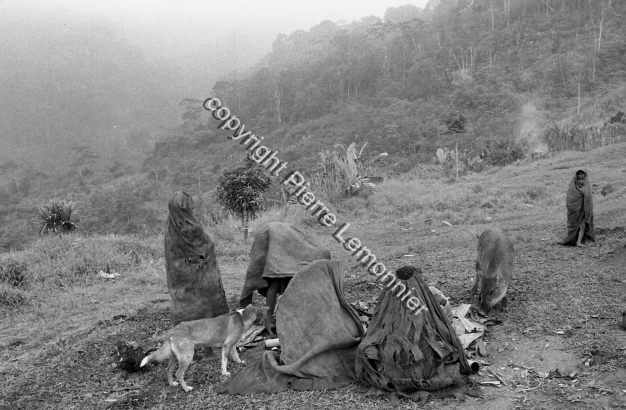 1987-88 Mumu Anguille / 1987-88 Mumu Anguille / Lemonnier, Pierre /  Papua New Guinea/ Papouasie-Nouvelle-Guinée