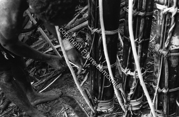 1987-88 Piège Anguilles / 1987-88 Piège Anguilles / Lemonnier, Pierre /  Papua New Guinea/ Papouasie-Nouvelle-Guinée