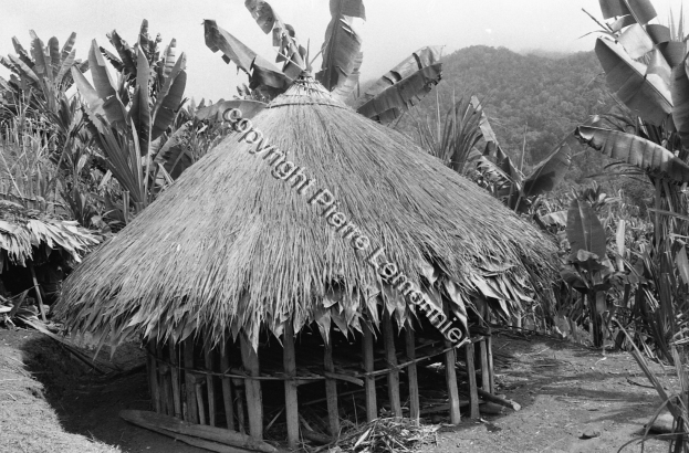 1988 / 1988 / Lemonnier, Pierre /  Papua New Guinea/ Papouasie-Nouvelle-Guinée
