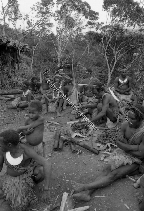 1994 / 1994 / Pierre Lemonnier / Papuasie Nouvelle-Guinée