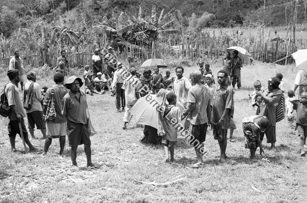 2008 / 2008 / Pierre Lemonnier / Papuasie Nouvelle-Guinée