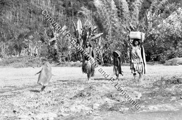 Baruya 1983 / Baruya 1983 / Pierre Lemonnier & Pascale Bonnemère / Papua New Guinea, Baruya