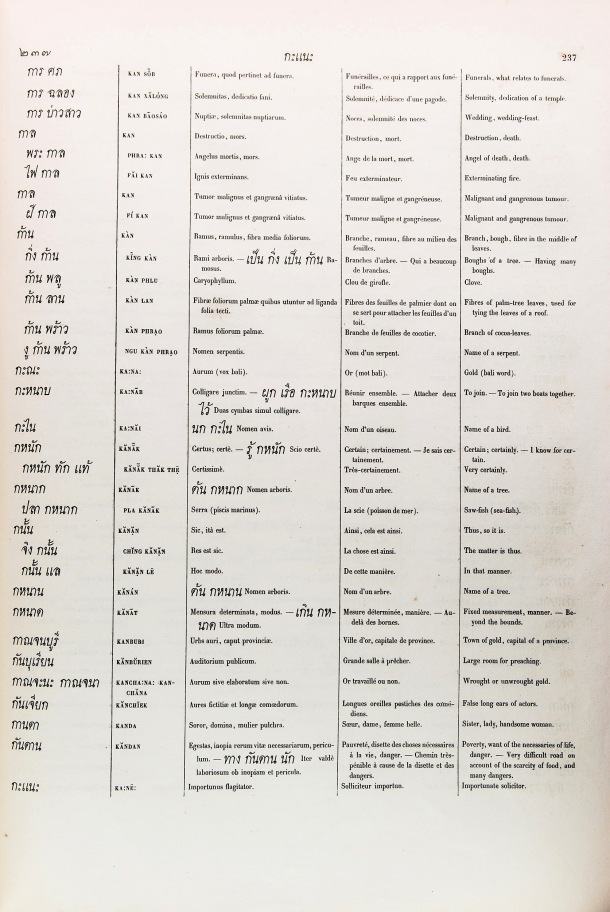Dictionarium Languae Thai (D.J.B. Pallegoix) / Dictionarium Languae Thai (D.J.B. Pallegoix) / Pallegoix, Jean-Baptiste /  Thailand/ Thaïlande
