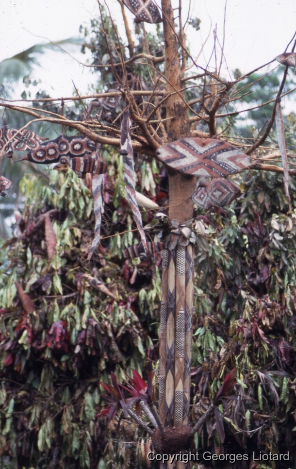 Funérailles à  Malakula (Malekula, Mallicolo) Vanuatu / Restes d'ornements: Plusieurs roussettes et autres objets surmodelés suspendus. / Liotard, Georges / Lamap, Malekula, Vanuatu