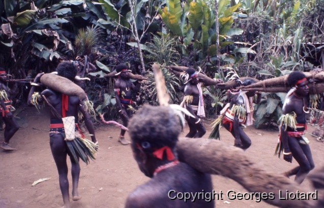 Funérailles à  Malakula (Malekula, Mallicolo) Vanuatu / Ignames transportés: En file et en dansant, les ignames sont transportés à dos d'hommes sous la conduite du vieux chef. / Liotard, Georges / Lamap, Malekula, Vanuatu
